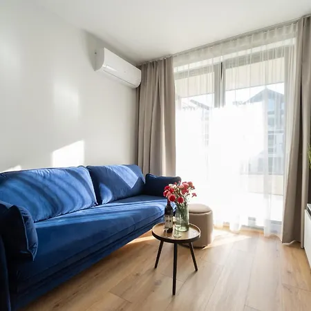 Laguna Beskidow - Gray