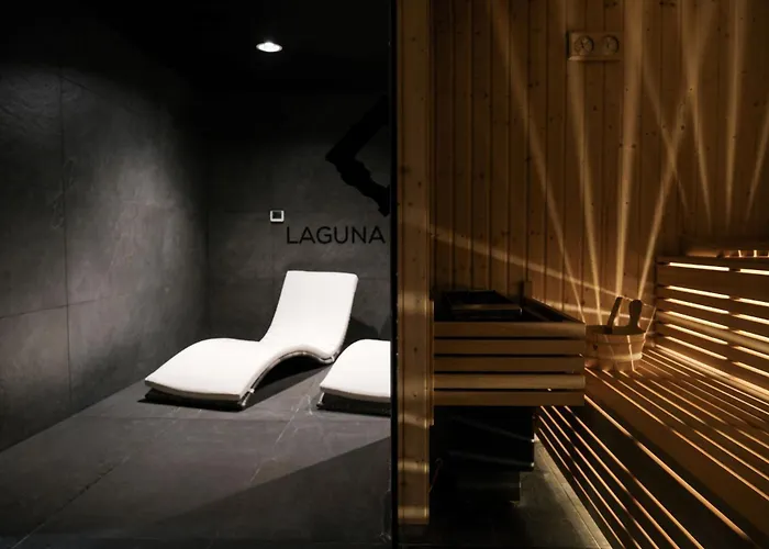 Apartament Laguna Beskidow - Gray